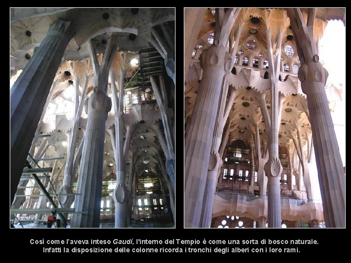 Così come l’aveva inteso Gaudí, l'interno del Tempio è come una sorta di bosco