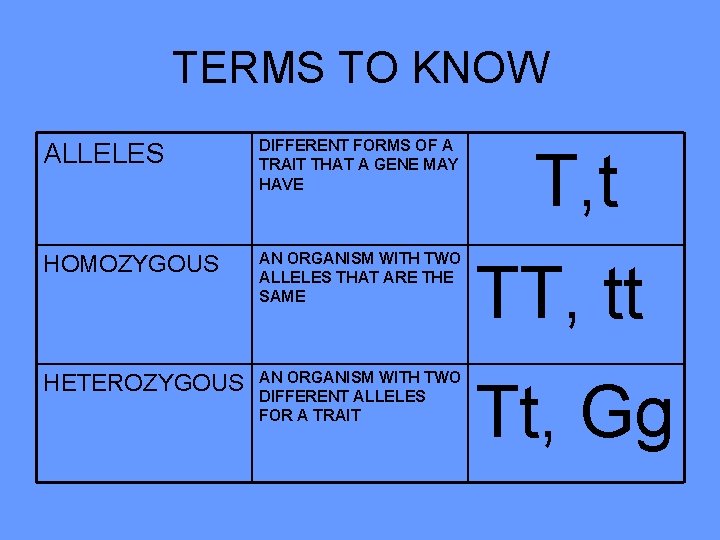 TERMS TO KNOW ALLELES DIFFERENT FORMS OF A TRAIT THAT A GENE MAY HAVE