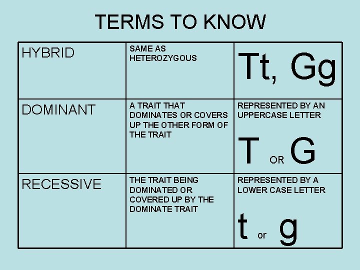 TERMS TO KNOW HYBRID SAME AS HETEROZYGOUS Tt, Gg DOMINANT A TRAIT THAT DOMINATES