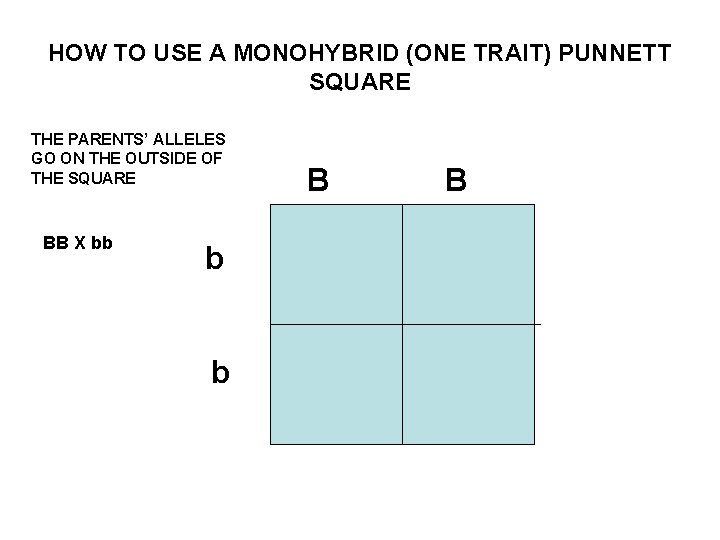 HOW TO USE A MONOHYBRID (ONE TRAIT) PUNNETT SQUARE THE PARENTS’ ALLELES GO ON