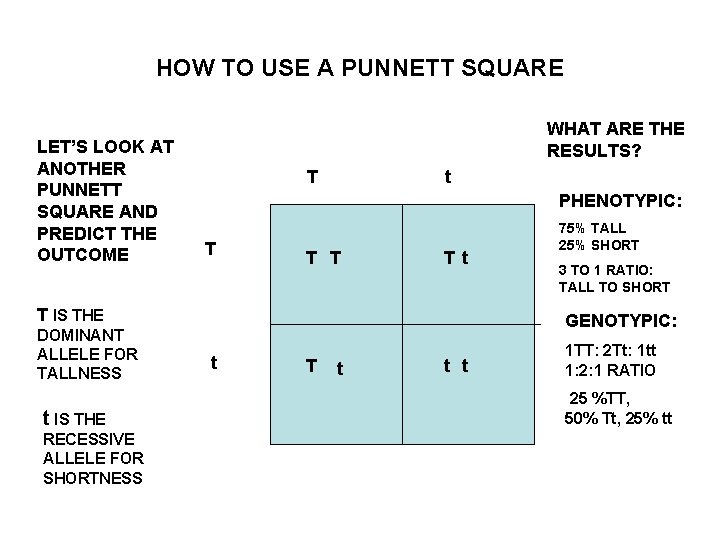 HOW TO USE A PUNNETT SQUARE LET’S LOOK AT ANOTHER PUNNETT SQUARE AND PREDICT