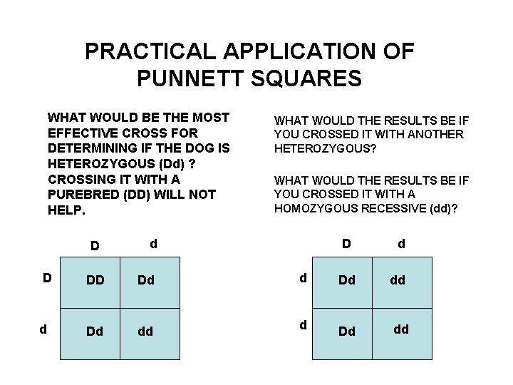 PRACTICAL APPLICATION OF PUNNETT SQUARES WHAT WOULD BE THE MOST EFFECTIVE CROSS FOR DETERMINING