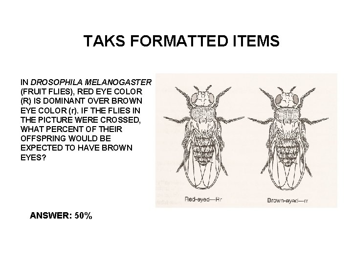 TAKS FORMATTED ITEMS IN DROSOPHILA MELANOGASTER (FRUIT FLIES), RED EYE COLOR (R) IS DOMINANT