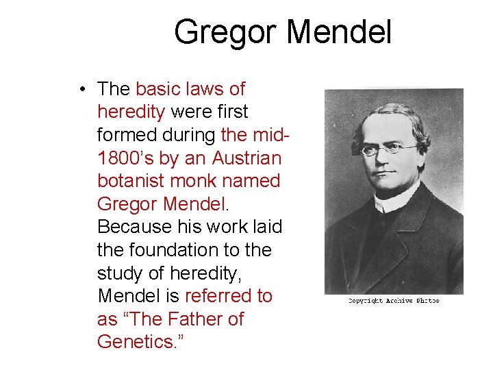 Gregor Mendel • The basic laws of heredity were first formed during the mid