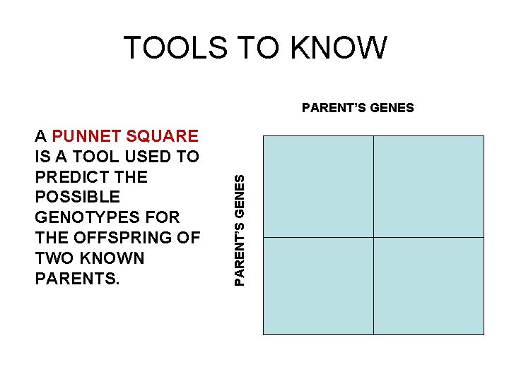 TOOLS TO KNOW A PUNNET SQUARE IS A TOOL USED TO PREDICT THE POSSIBLE