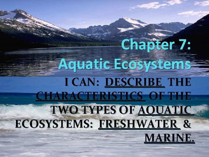 Chapter 7: Aquatic Ecosystems I CAN: DESCRIBE THE CHARACTERISTICS OF THE TWO TYPES OF