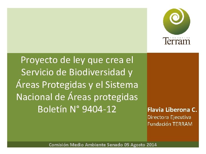 Proyecto de ley que crea el Servicio de