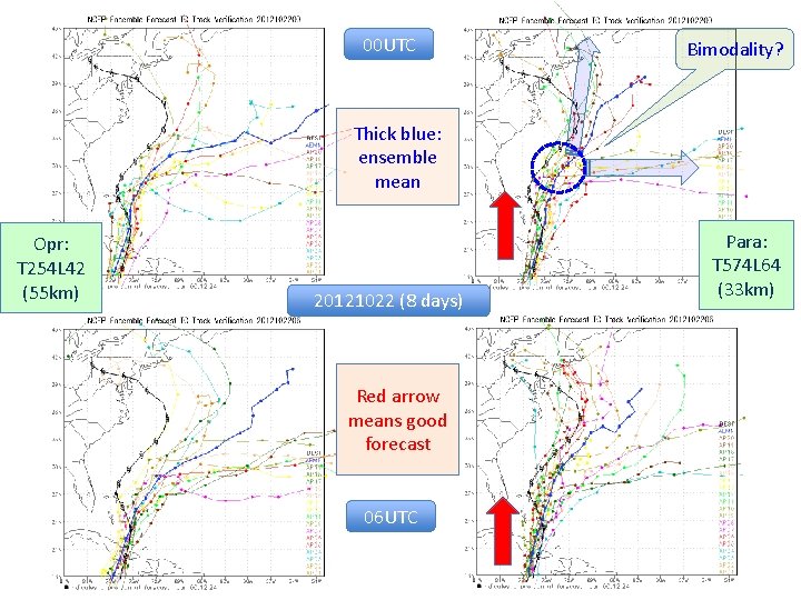 00 UTC Bimodality? Thick blue: ensemble mean Opr: T 254 L 42 (55 km)