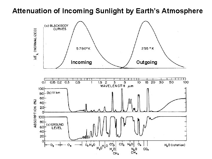Attenuation of Incoming Sunlight by Earth’s Atmosphere Incoming Outgoing 