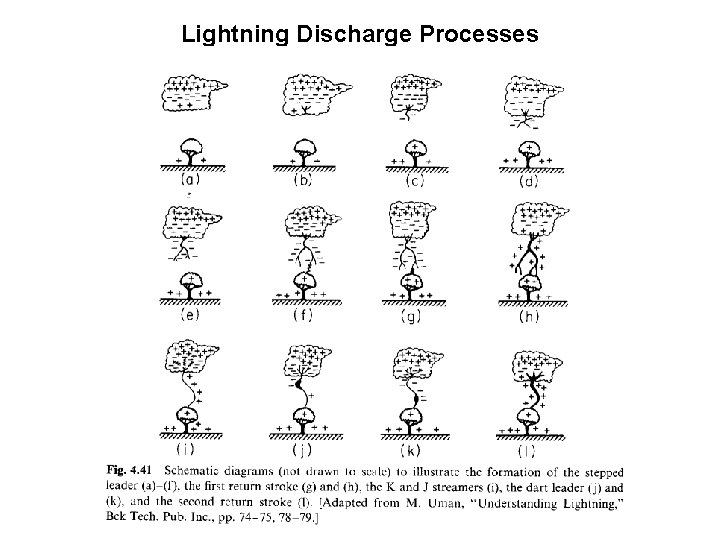 Lightning Discharge Processes 