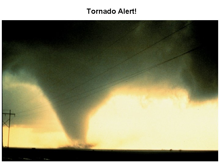Tornado Alert! 