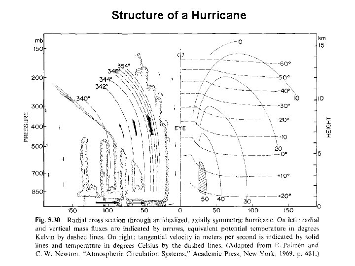Structure of a Hurricane 