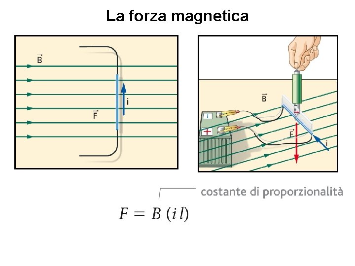 La forza magnetica 