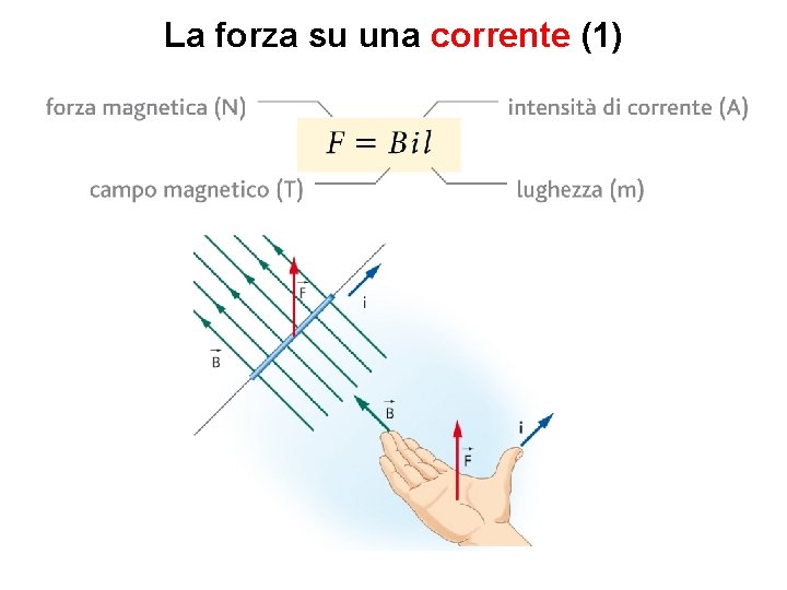 La forza su una corrente (1) 