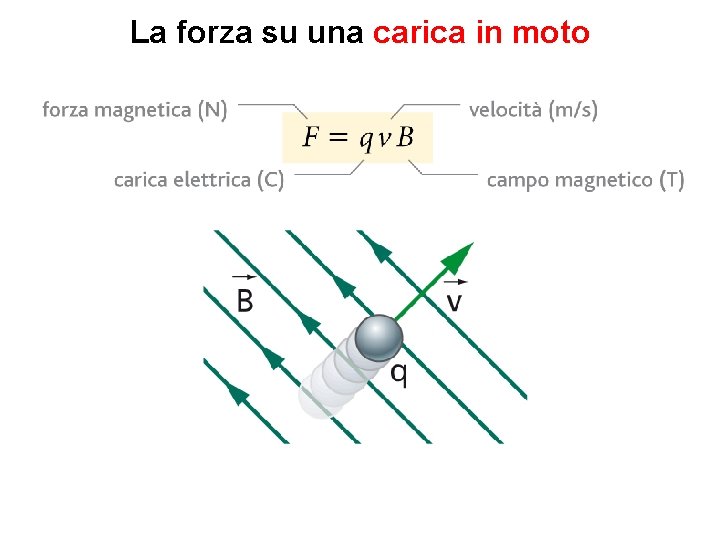 La forza su una carica in moto 