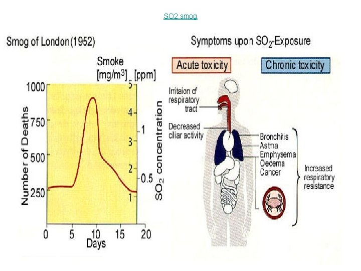 SO 2 smog 