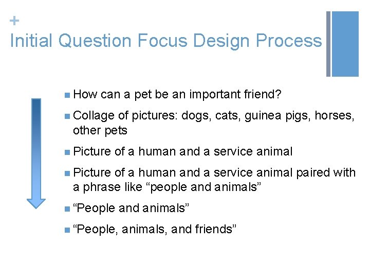 + Initial Question Focus Design Process n How can a pet be an important