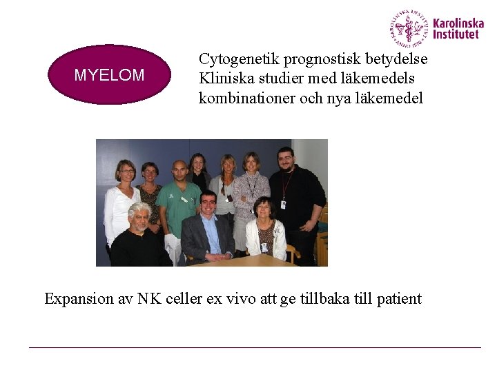 MYELOM Cytogenetik prognostisk betydelse Kliniska studier med läkemedels kombinationer och nya läkemedel Expansion av