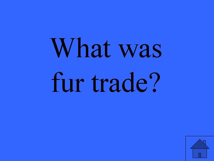 What was fur trade? 
