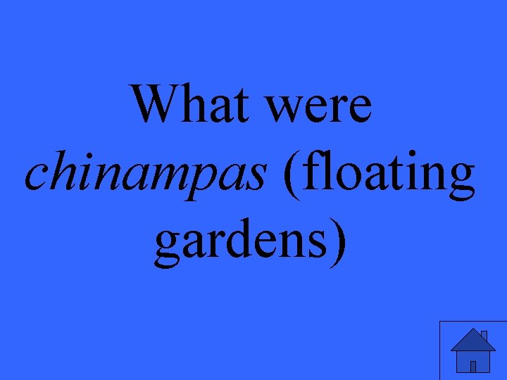 What were chinampas (floating gardens) 
