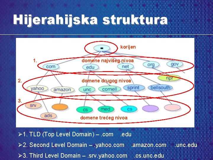 Hijerahijska struktura korijen 1. 2. domene najvišeg nivoa domene drugog nivoa 3. domene trećeg