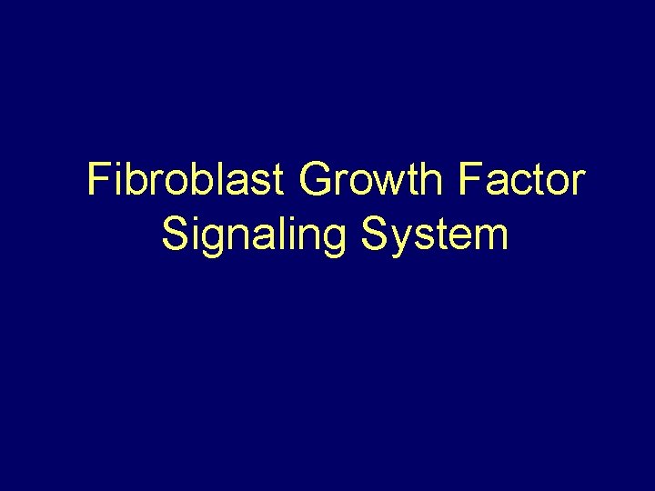 Fibroblast Growth Factor Signaling System 