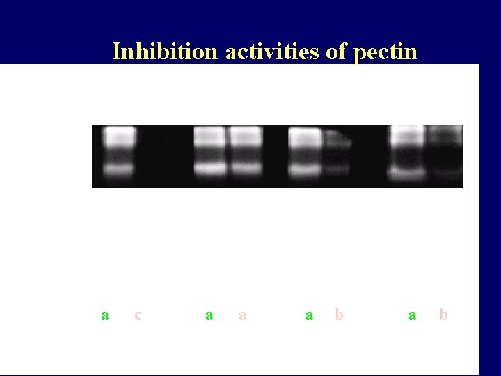 Inhibition Activity Inhibition activities of pectin a c a a a b 