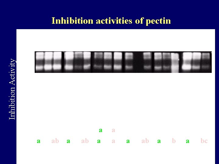 Inhibition Activity Inhibition activities of pectin a a ab a a a b ab