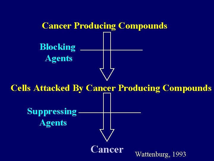 Cancer Producing Compounds Blocking Agents Cells Attacked By Cancer Producing Compounds Suppressing Agents Cancer