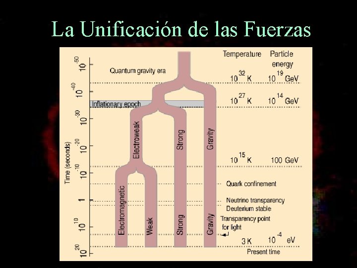 La Unificación de las Fuerzas 