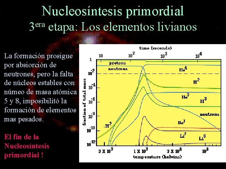 Nucleosíntesis primordial 3 era etapa: Los elementos livianos La formación prosigue por absiorción de