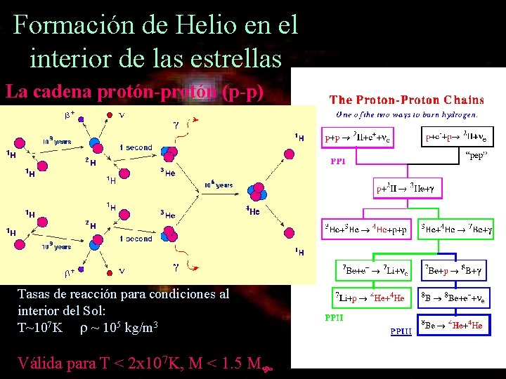 Formación de Helio en el interior de las estrellas La cadena protón-protón (p-p) Tasas