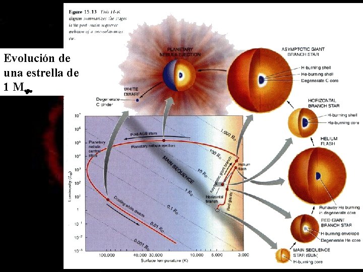 Evolución de una estrella de 1 M 