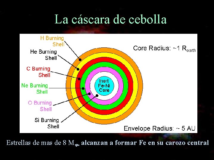 La cáscara de cebolla Estrellas de mas de 8 M alcanzan a formar Fe