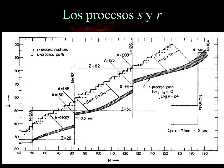 Los procesos s y r 