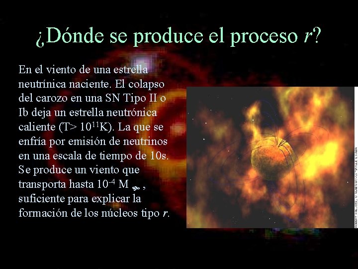 ¿Dónde se produce el proceso r? En el viento de una estrella neutrínica naciente.