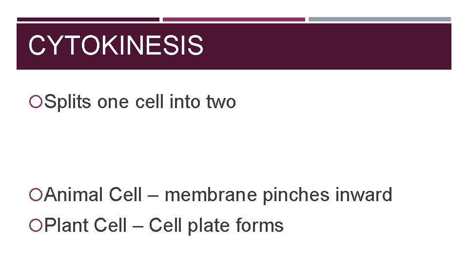 CYTOKINESIS Splits one cell into two Animal Cell – membrane pinches inward Plant Cell