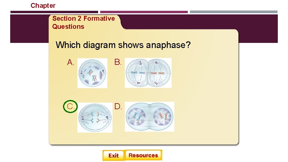 Chapter Cellular Reproduction Section 2 Formative Questions Which diagram shows anaphase? A. C. B. Chapter Cellular Reproduction Section 2 Formative Questions Which diagram shows anaphase? A. C. B.