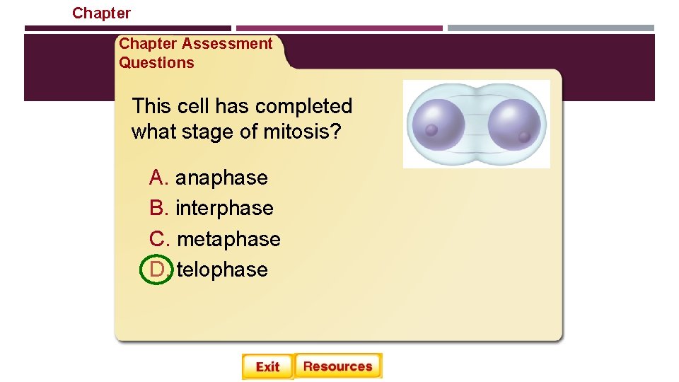 Chapter Cellular Reproduction Chapter Assessment Questions This cell has completed what stage of mitosis? Chapter Cellular Reproduction Chapter Assessment Questions This cell has completed what stage of mitosis?