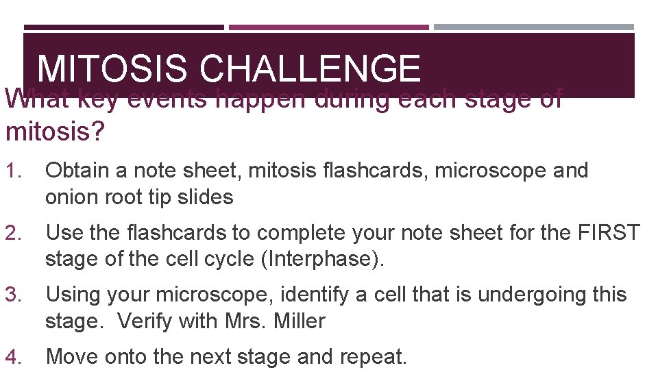 MITOSIS CHALLENGE What key events happen during each stage of mitosis? 1. Obtain a