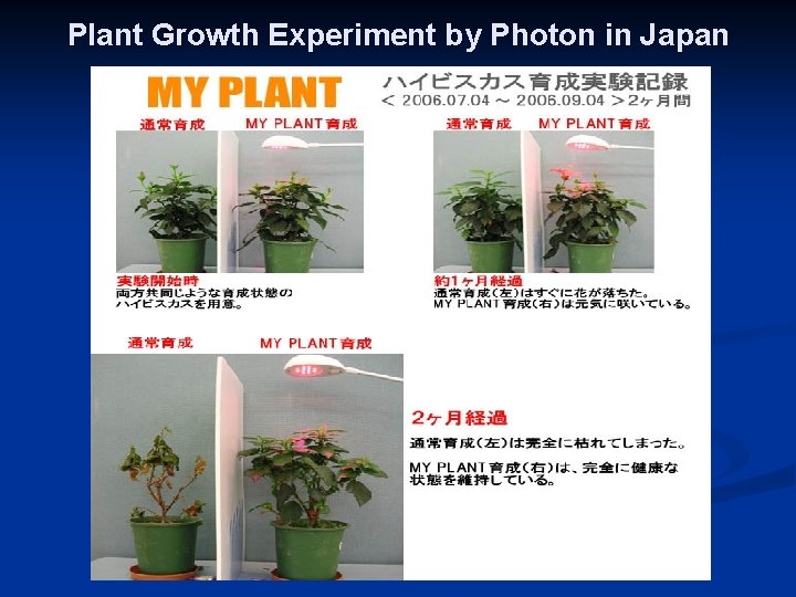 Plant Growth Experiment by Photon in Japan 