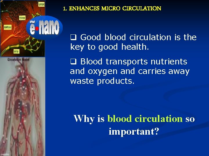 1. ENHANCES MICRO CIRCULATION q Good blood circulation is the key to good health.