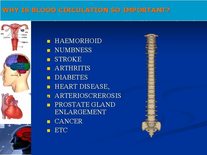 WHY IS BLOOD CIRCULATION SO IMPORTANT? HAEMORHOID n NUMBNESS n STROKE n ARTHRITIS n
