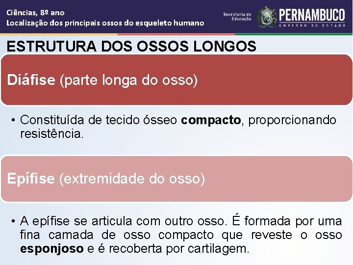 Ciências, 8º ano Localização dos principais ossos do esqueleto humano ESTRUTURA DOS OSSOS LONGOS