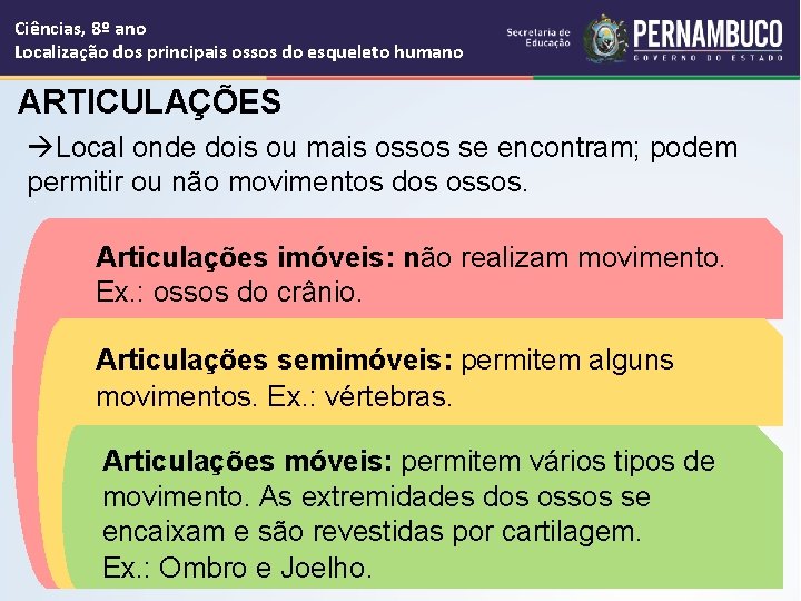 Ciências, 8º ano Localização dos principais ossos do esqueleto humano ARTICULAÇÕES Local onde dois