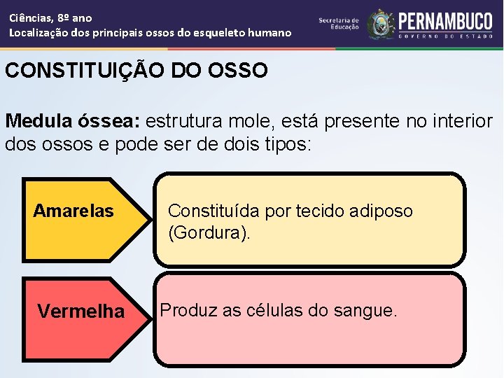 Ciências, 8º ano Localização dos principais ossos do esqueleto humano CONSTITUIÇÃO DO OSSO Medula