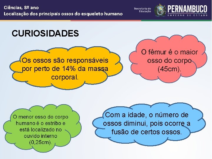 Ciências, 8º ano Localização dos principais ossos do esqueleto humano CURIOSIDADES Os ossos são