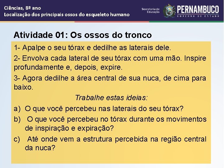 Ciências, 8º ano Localização dos principais ossos do esqueleto humano Atividade 01: Os ossos