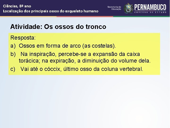 Ciências, 8º ano Localização dos principais ossos do esqueleto humano Atividade: Os ossos do