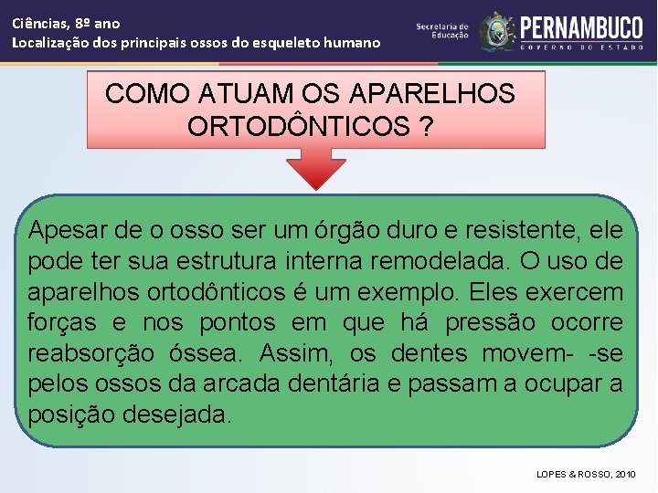 Ciências, 8º ano Localização dos principais ossos do esqueleto humano COMO ATUAM OS APARELHOS